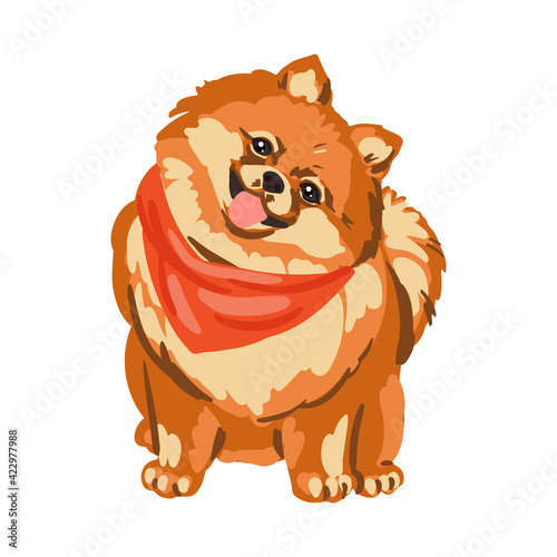 A fluffy Pomeranian dog with a tongue sticking out. Red bandana, scarf. Small dog breed. Hand-drawn sketch style. Vector illustration on an isolated white background.