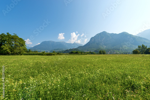 Valsugana or Val Sugana. Summer Landscape of Sugana Valley with Green Meadows and Mountains. Borgo Valsugana, Trentino Alto Adige, Italy, Europe.