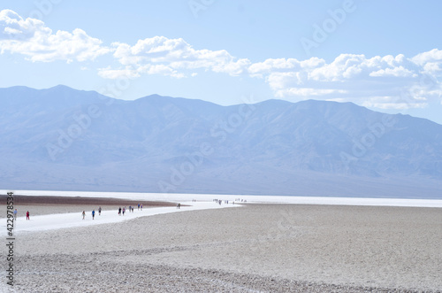 Desert Landscape