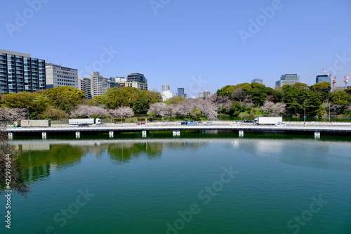 【東京】皇居・千鳥ヶ淵公園の桜（春）