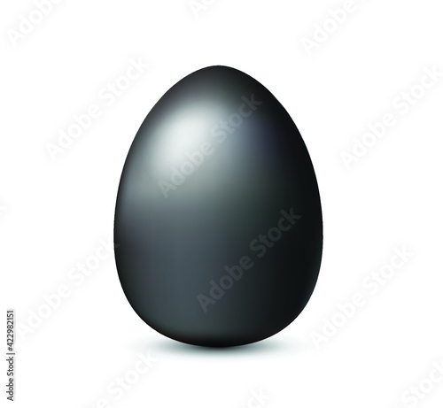 Black egg vector isolated on white background. Egg vector illustration.