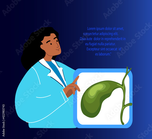 Doctors Woman Gastroenterologists Curing, Researching Gall Bladder System.Analyze Gall Gallstones.Medical Hospital Staff Consilium Consultation.Cholecystitis Cholecystis Treatment. Vector Illustration photo