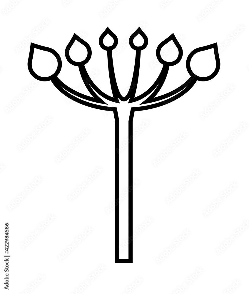 Icon of umbel bouquet with black border and white background. - obrazy, fototapety, plakaty 