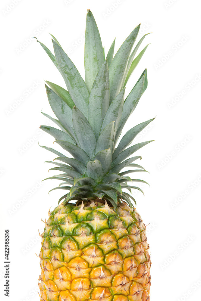 Half part of a pineapple isolated on a white background Half part of a pineapple isolated on a white background
