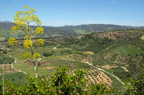 View of the countryside from Ronda Spain photo