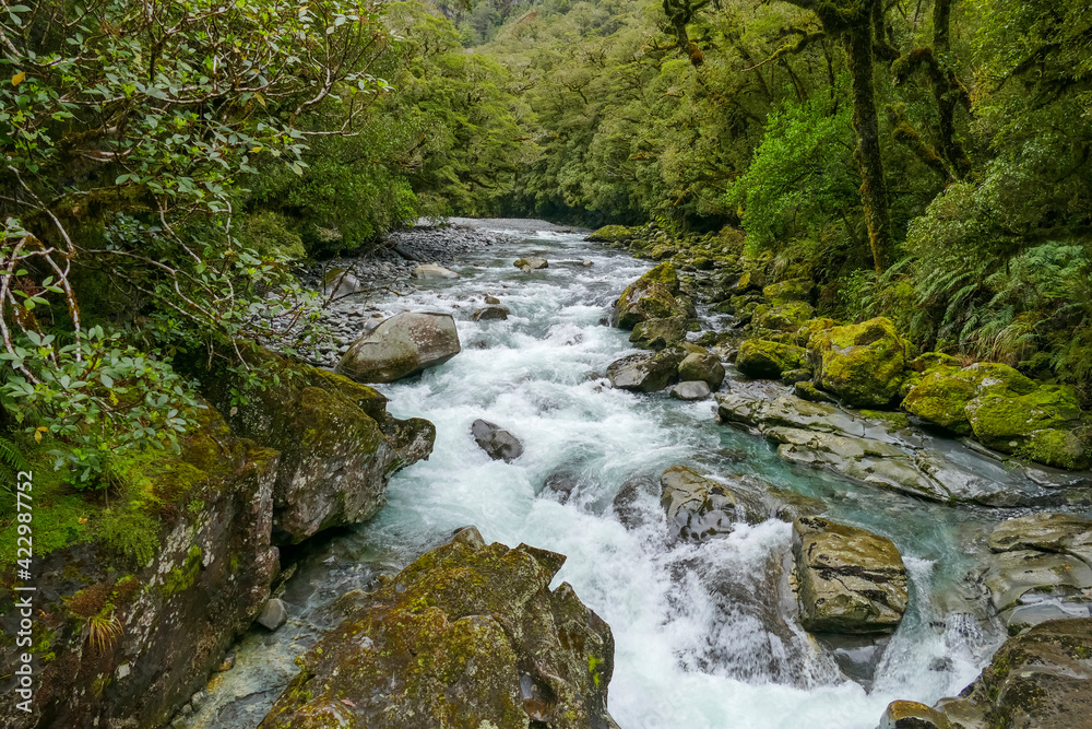 Cleddau River in New Zealand