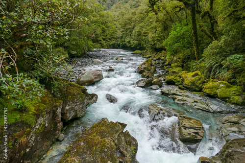 Cleddau River in New Zealand