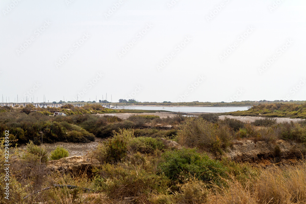 Desembocadura, Mouth o Estuary en el Paraje Natural Marismas del Río Piedras y Flecha del Rompido, municipio de Cartaya, provincia de Huelva, comunidad autonoma de Andalucia, pais de España