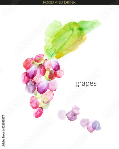 Vector watercolor abstract red grapes bunch