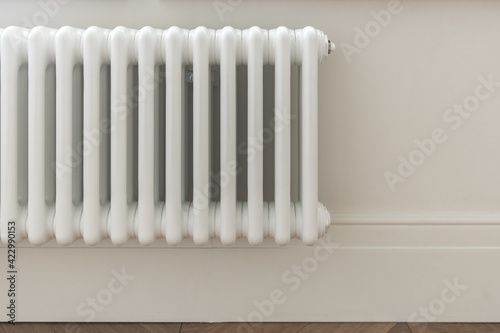 Wallpaper Mural Stylish solution of the house heating system design. Vertical short heater radiator mounted on a white wall, decorated with white skirting board. Torontodigital.ca