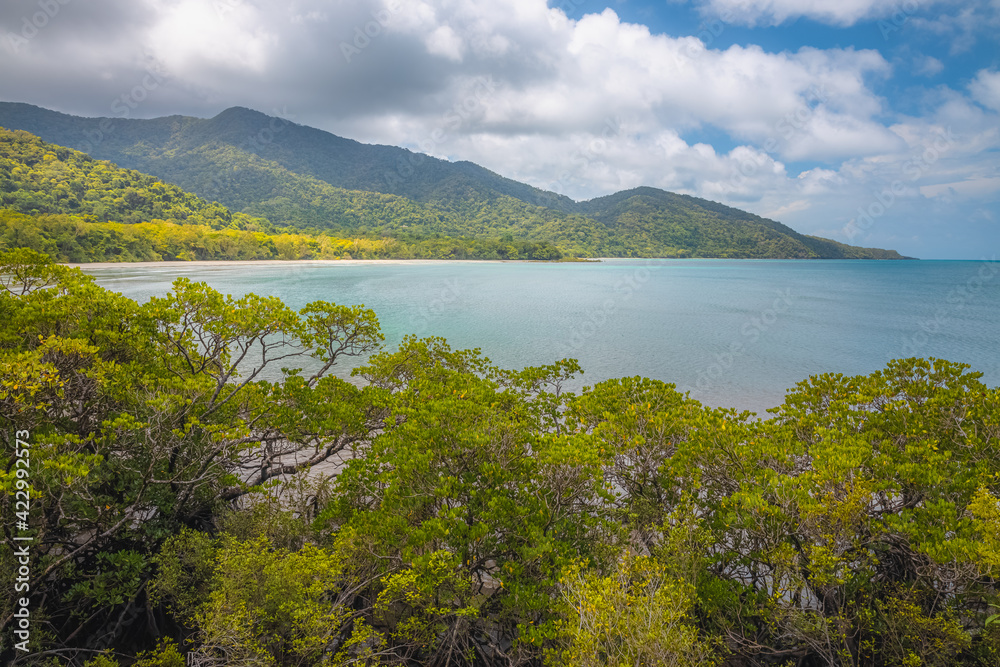 Landscape view of Cape Tribulation in the tropical Daintree Rainforest on the Coral Sea in Queensland, Australia on a sunny summer day.