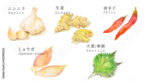 Konstfotografi 薬味のセットイラスト