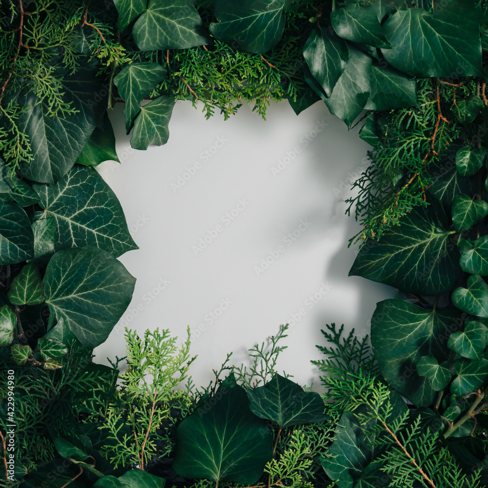Fototapeta premium Creative layout made of green spring or summer leaves with copy space. Minimal flat lay background. Nature concept.