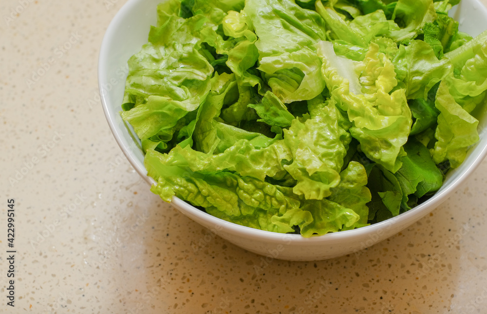 Green organic salad in a white bowl dish Green organic salad in a white bowl dish