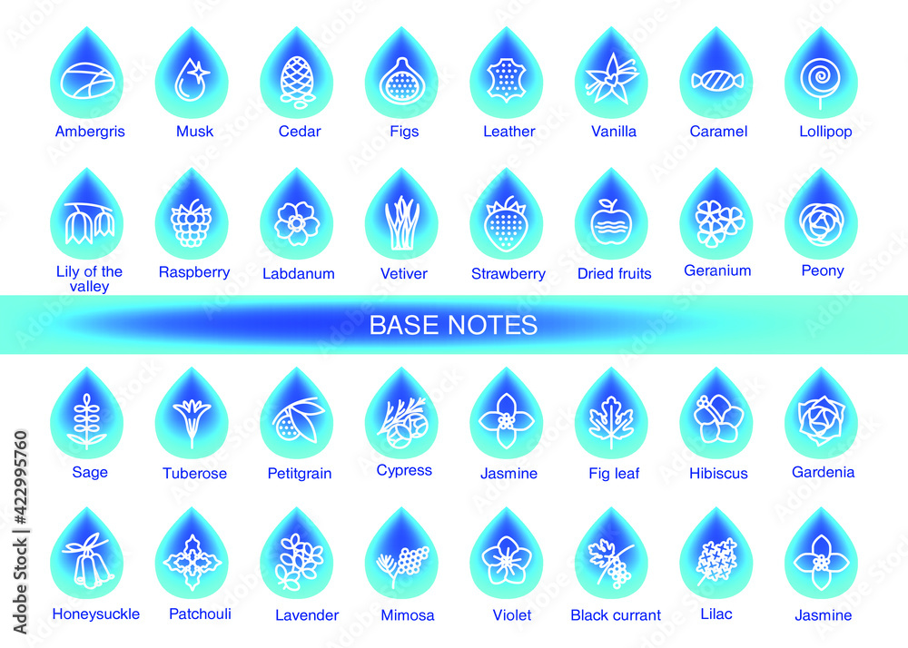 Vector icons aromas base notes. Base notes pyramid chart with examples