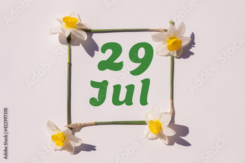 July 29th. Day 29 of the month, calendar date. Frame from flowers of a narcissus on a light background, pattern. View from above. Summer month, day of the year concept