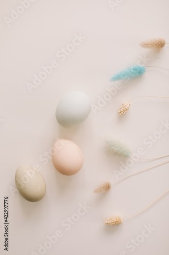 fresh chicken eggs of natural shades and colors on a white background