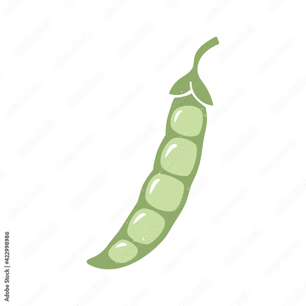 Cute pea pod icon isolated on white background. Colorful pictogram original design. Can be used for infographics, identity or decoration. Vector shabby hand drawn illustration Cute pea pod icon isolated on white background. Colorful pictogram original design. Can be used for infographics, identity or decoration. Vector shabby hand drawn illustration
