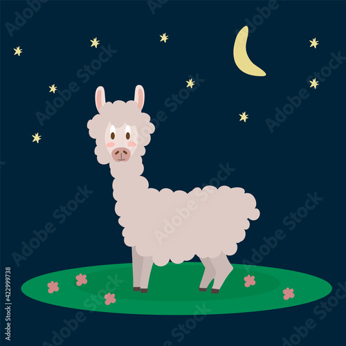 Farm animal Llama. A character of livestock in a meadow in the style of flat. Isolated animal on a dark background in a circle of stars and moon. Vector illustration