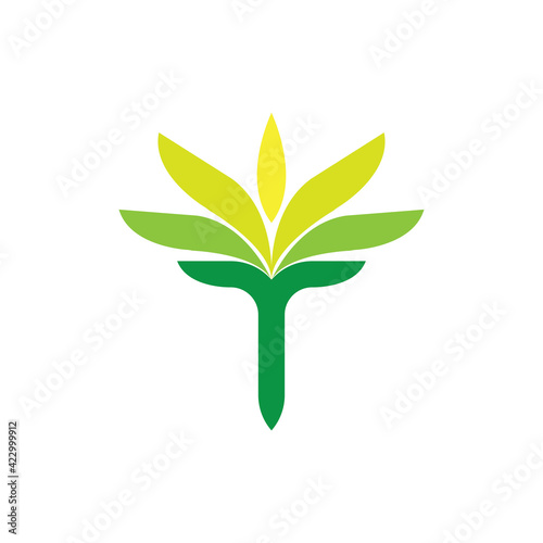 T letter with Leaf logo design vector