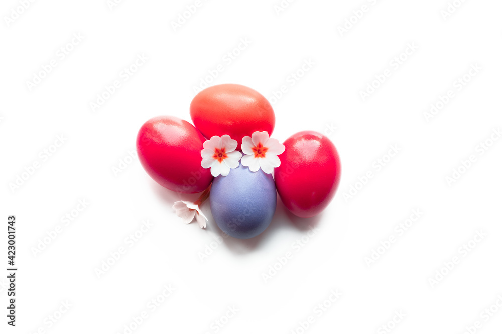 Obraz premium Easter coloured eggs with natural flowers isolated on white background. Four colourful eggs: red and purple.