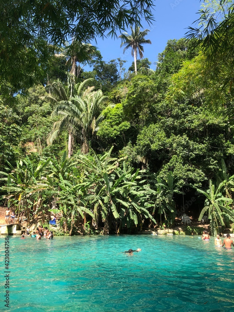 Obraz premium beach with palm trees