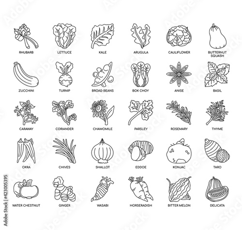 Set of vegetable thin line and pixel perfect icons for any web and app project.