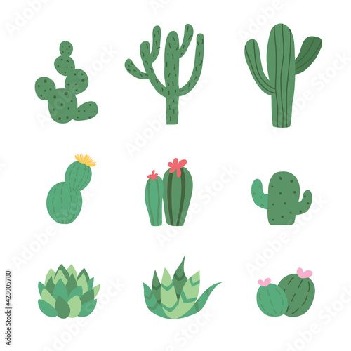 Set of cactus, Vector of colorful cactus plants of tropical home plants collection.