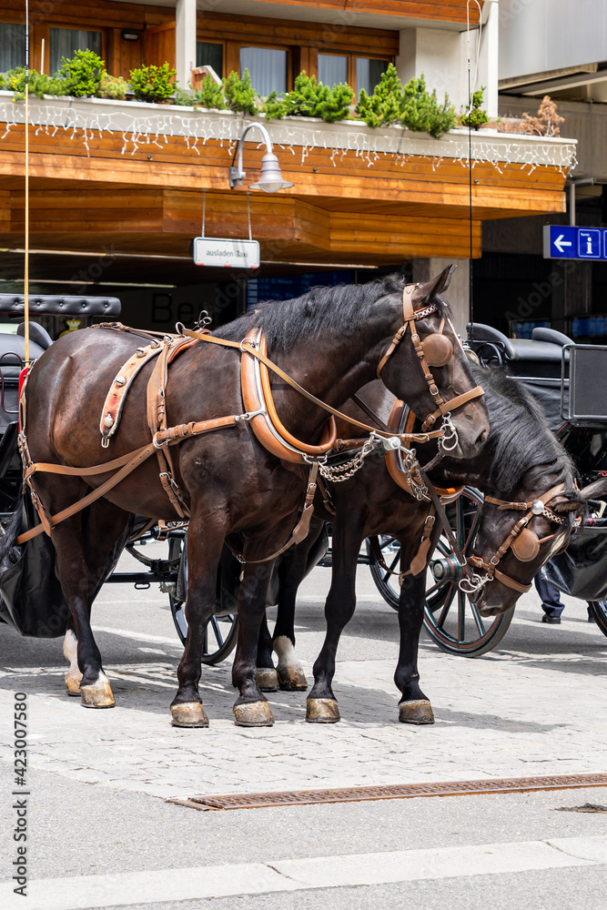 Vertical photo of horse-drawn vehicle in Zermatt town