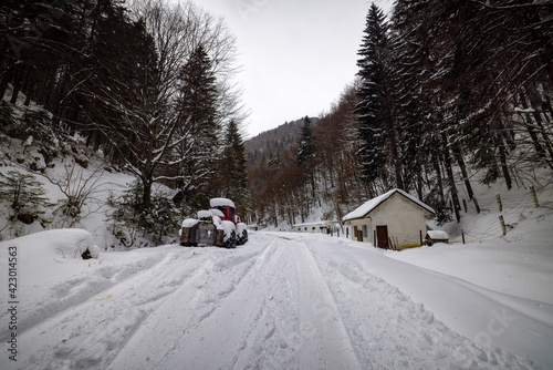 Winter landscape in Zarnesti Gorges  The Precipice of Zarnesti   Romanian Carpathians