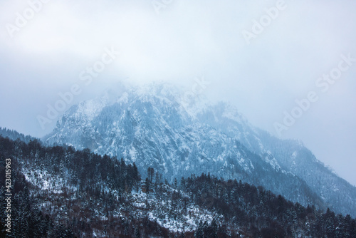 mountain landscape in winter on a cloudy day. Carpathian Mountains, Romania.