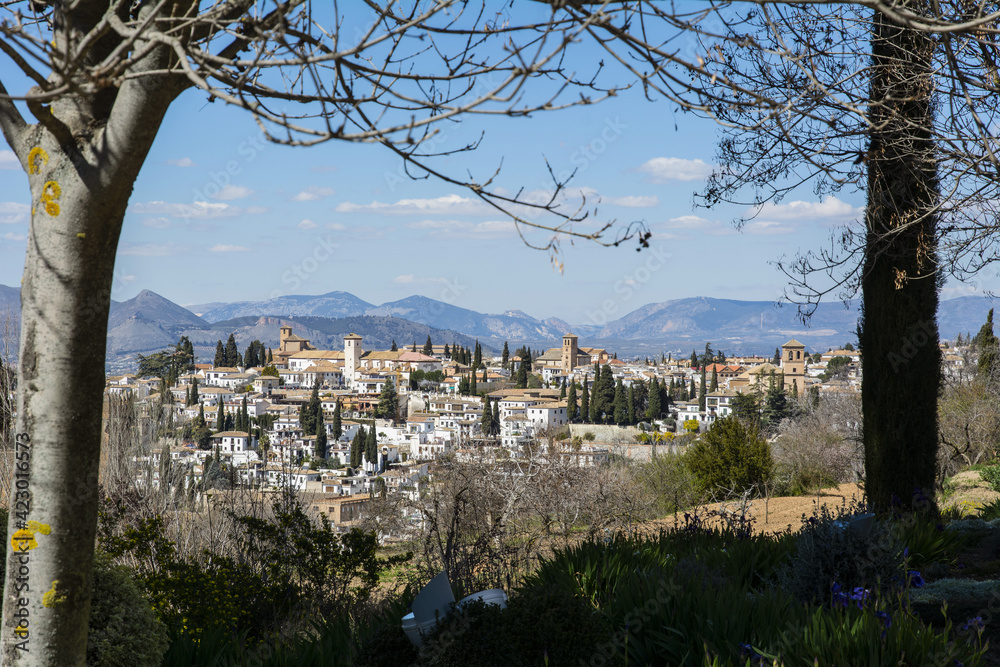 Granada vista dall'Alhambra