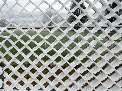 frosty fence