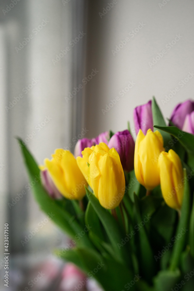Background: a bouquet of yellow and purple tulips. The concept of spring, holiday, mother's day. Background: a bouquet of yellow and purple tulips. The concept of spring, holiday, mother's day.