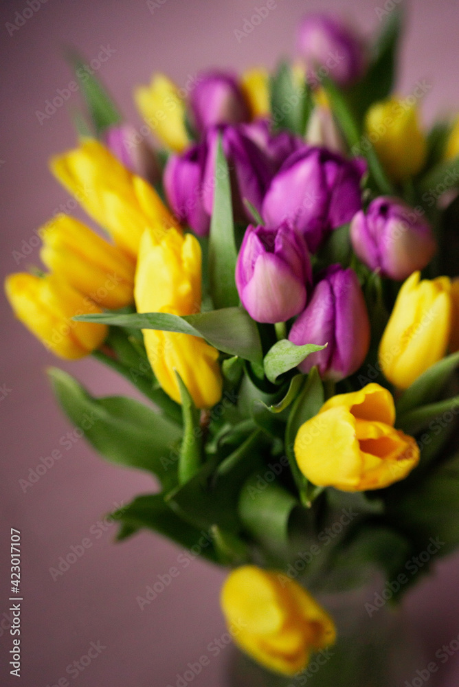 Background: a bouquet of yellow and purple tulips. The concept of spring, holiday, mother's day.