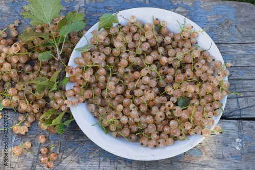Close up bowl full of fresh white currant berries.