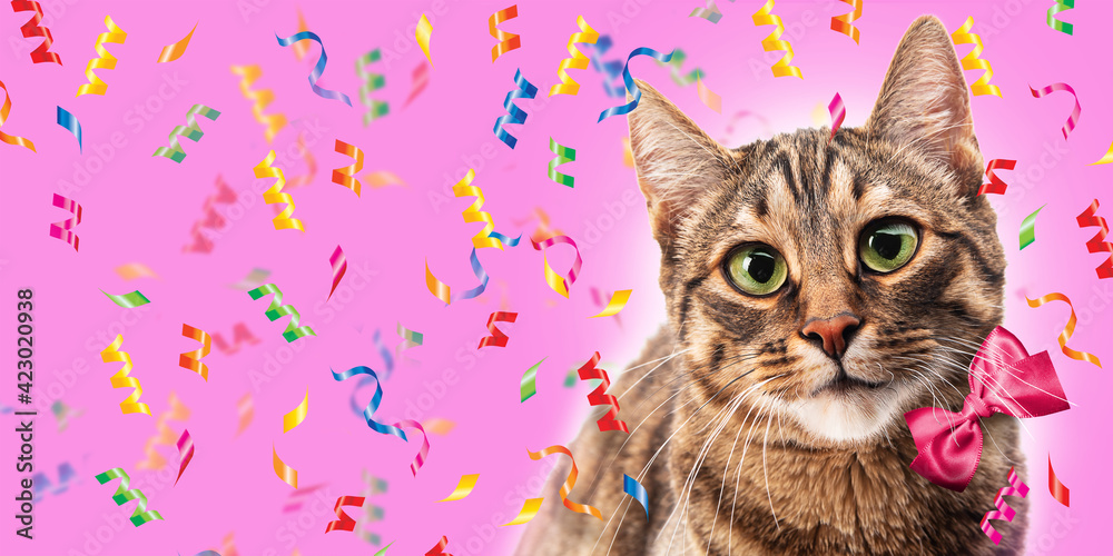 Cat with a bow and confiti on a pink background. Congratulation Cat with a bow and confiti on a pink background. Congratulation