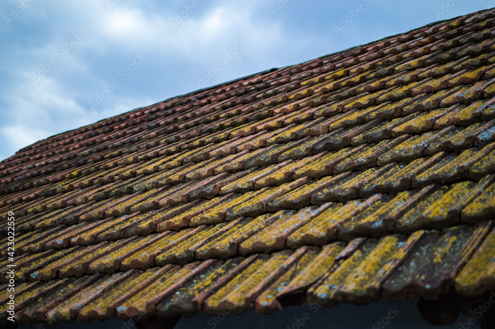 Naklejka premium old roof brick