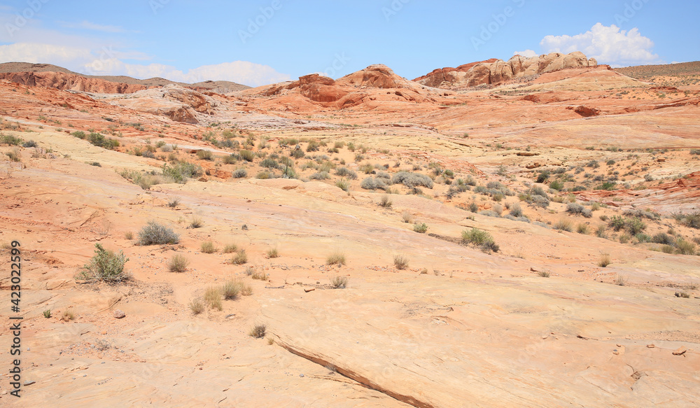 Fototapeta premium Valley of Fire State Park in Nevada, USA