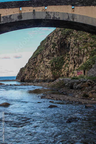 Grande montañas de rocas de plantas de hojas verdes en las costas del mar con un cielo azul y nubes blancas  photo