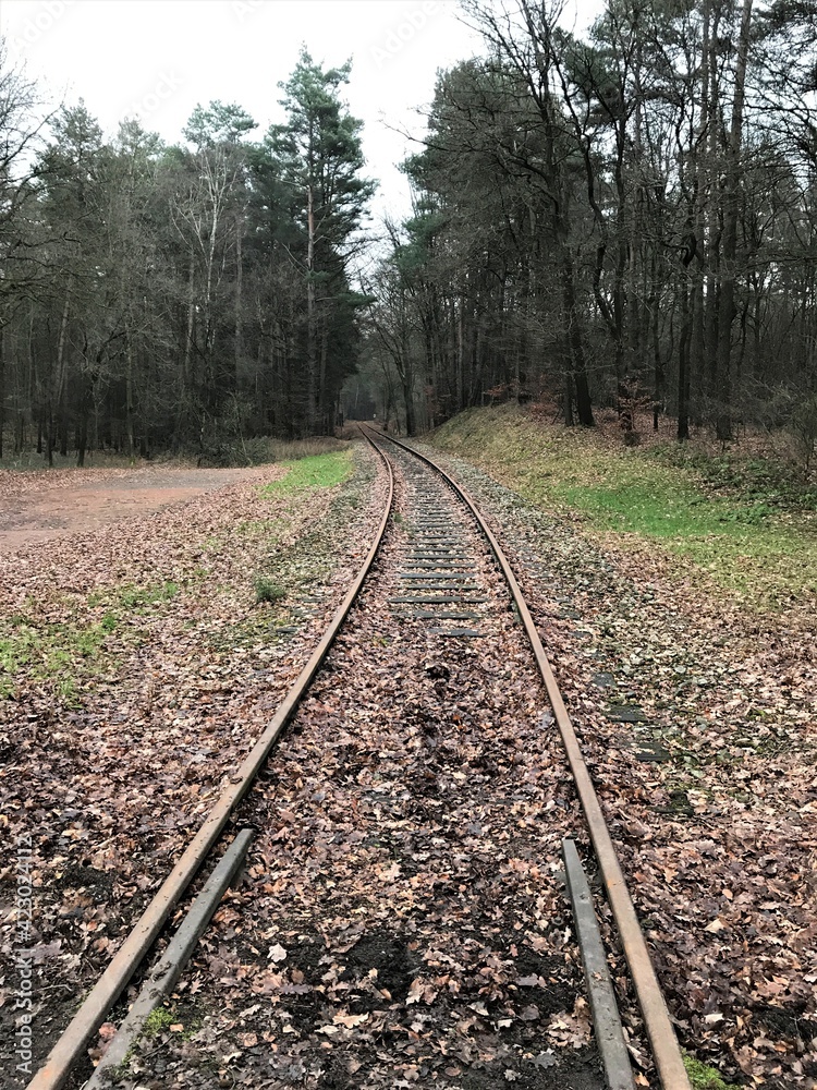 Fototapeta premium Bahngleis