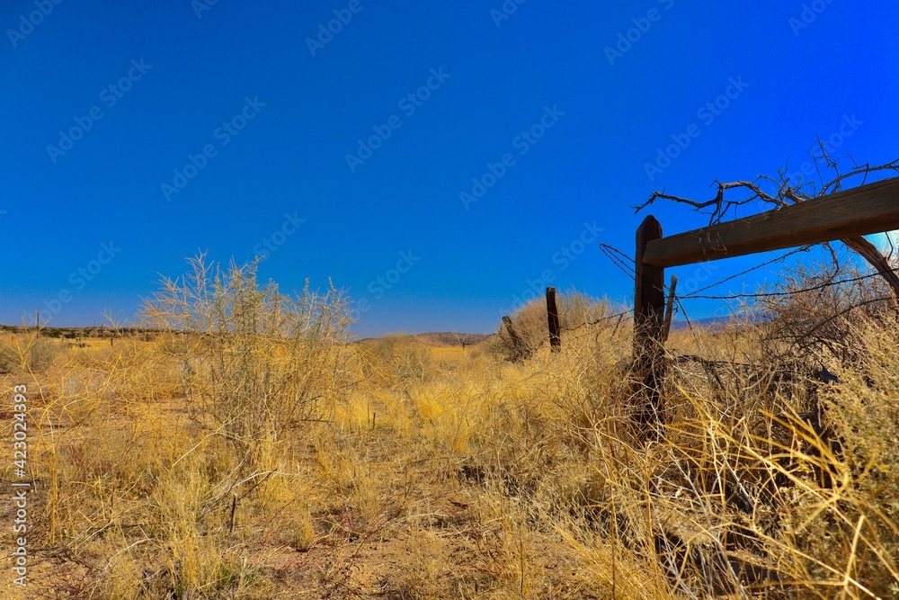 Rustic Fence in a Rural Desert Landscape Rustic Fence in a Rural Desert Landscape