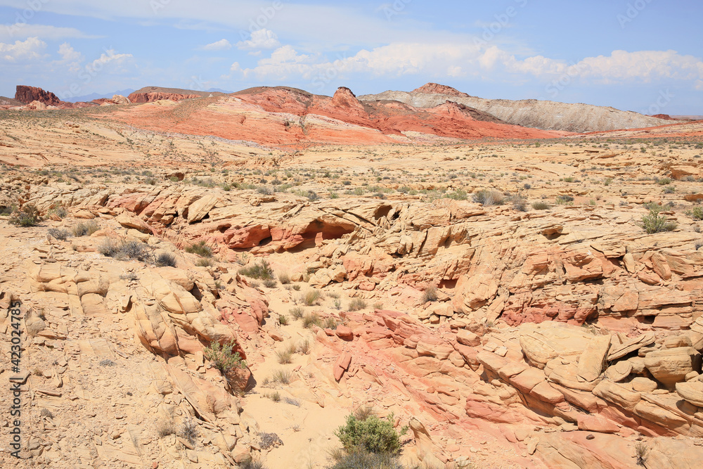 Fototapeta premium Valley of Fire State Park in Nevada, USA