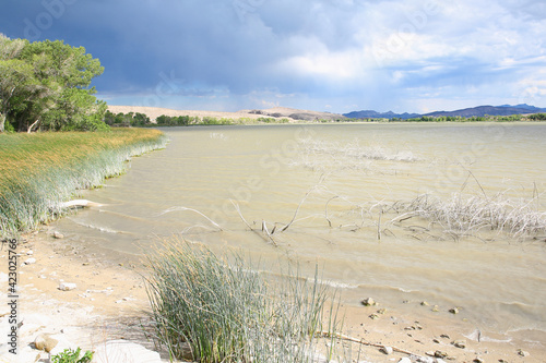 Pahranagat National Wildlife Refuge in Nevada  USA