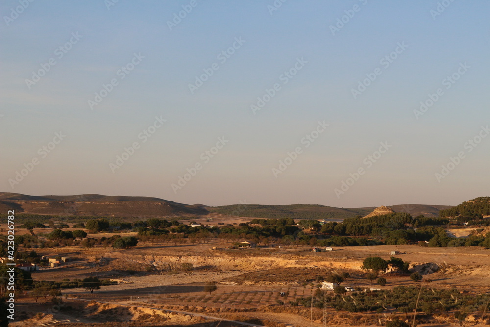 Obraz premium landscape with cows