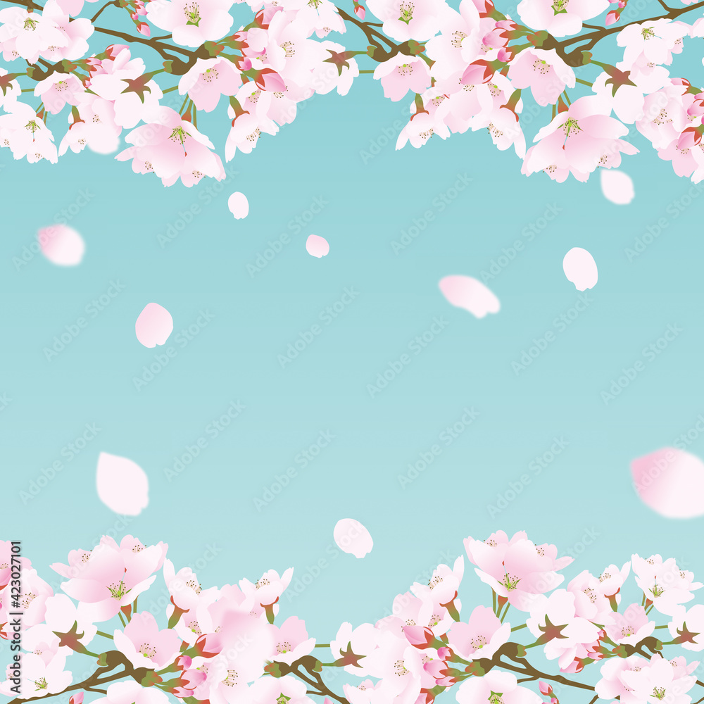 桜上下の正方形のフレームと散る桜の花びら青緑