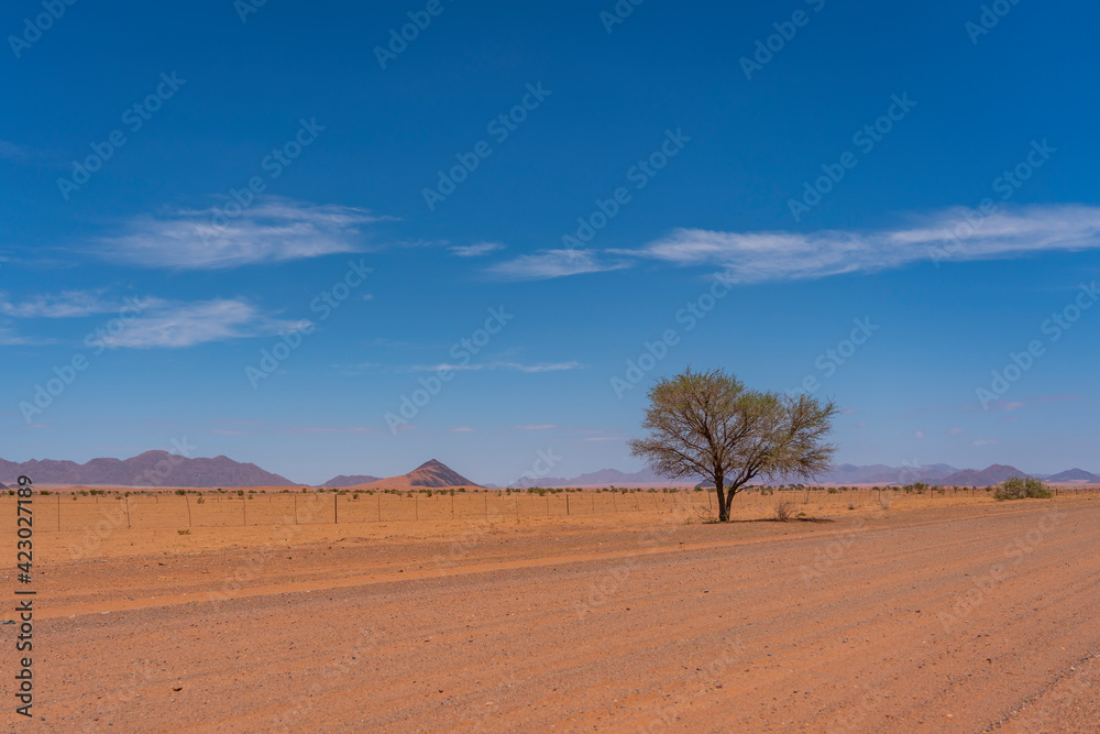 Desert landscape at the Namib-Naukluft National park, Namibia, southern Africa