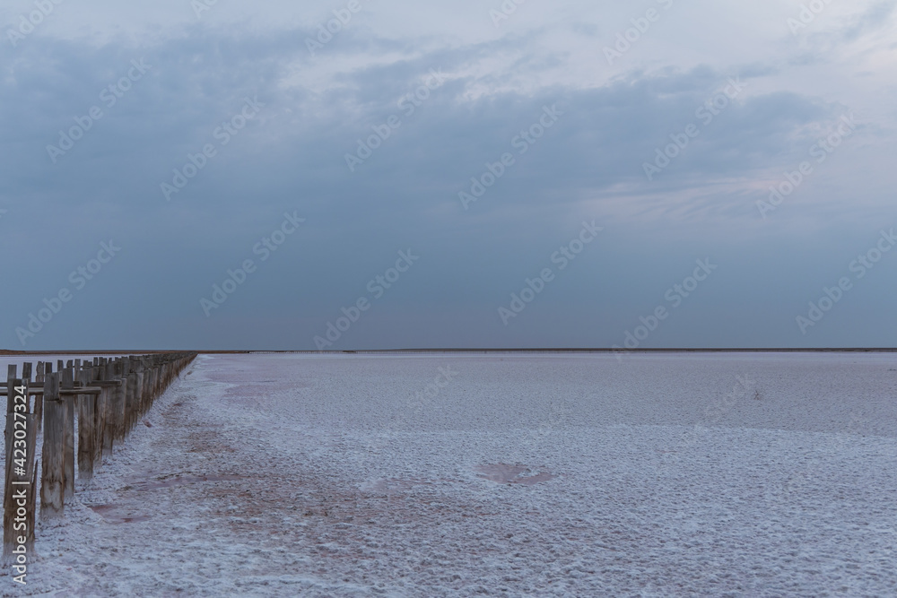 Obraz premium Wooden posts in a pink lake. The pink water of the lake. Beautiful views while relaxing