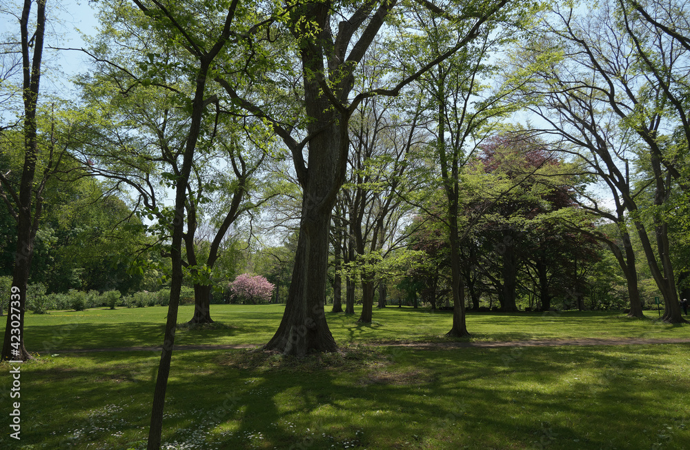 北海道大学植物園内の風景（Scenery in the Botanic Garden Hokkaido University）