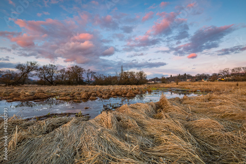 Sunset over the wetland of river Turiec in Slovakia. photo